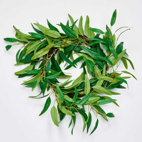 20" Olive Wreath